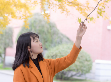 办菲律宾旅游签证需要护照吗(旅游签材料汇总指南)